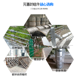 缆索护栏-0f88d702-a28b-4acf-aa40-4b582b413eb3.png